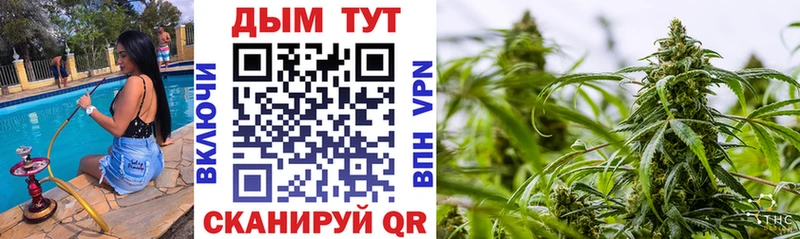 darknet наркотические препараты  blacksprut   Воскресенск  купить   Конопля OG Kush 